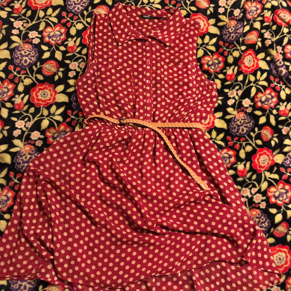 Sheer Polka Dot Collared Dress